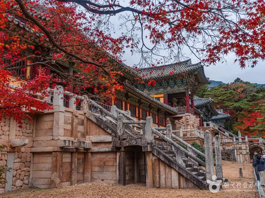 경주 시티투어